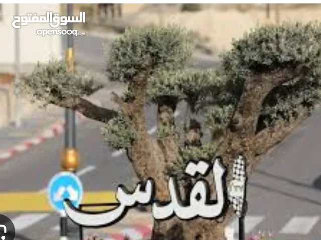 قطعة ارض استثمارية بتجنن ع شارع دير بحة . سعر لقطة لقطة
