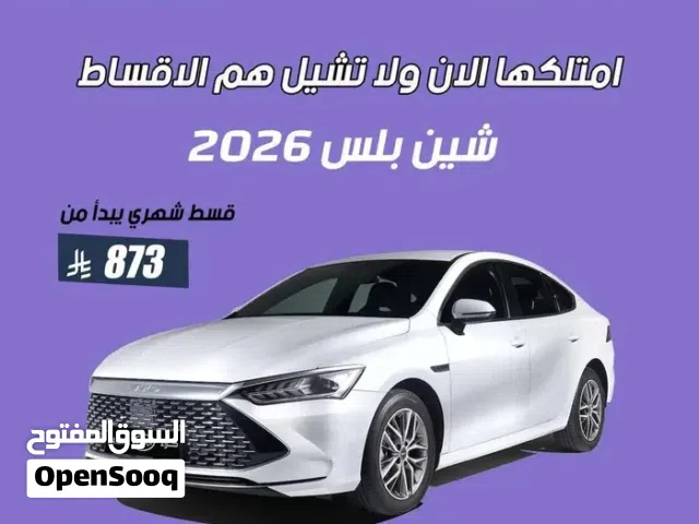 2026 بي واي دي كين