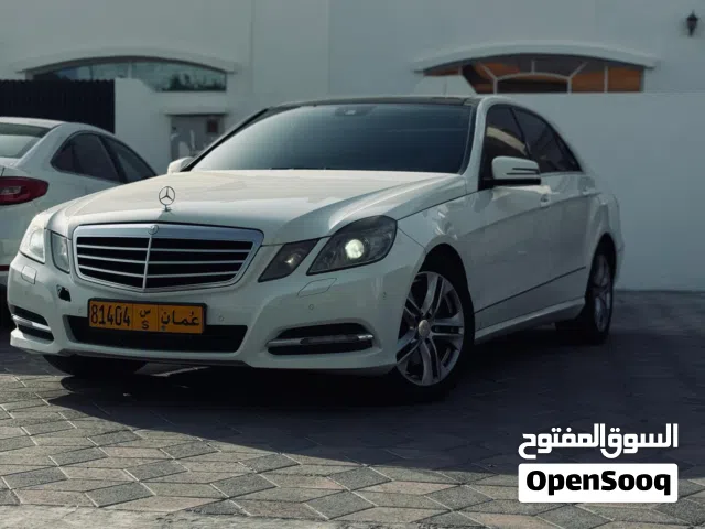 2011 Mercedes Benz E-Class E 300