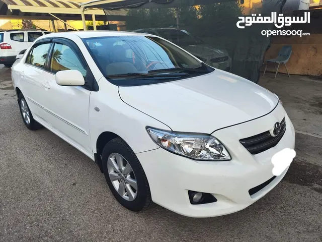 New Toyota Corolla in Baghdad