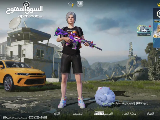 Pubg Accounts and Characters for Sale in Al Wustaa