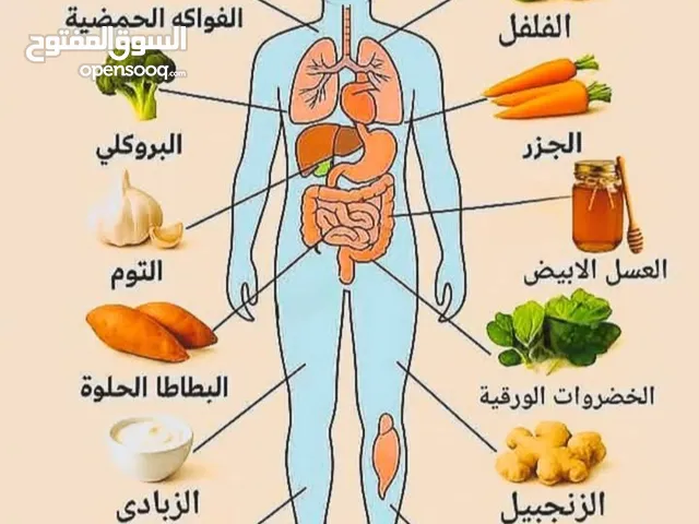 وظيفه فى مطعم الزاويه..