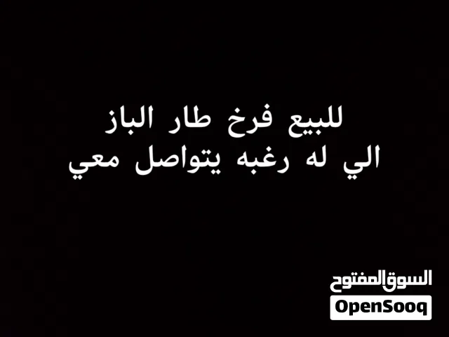 اقرأ الوصف