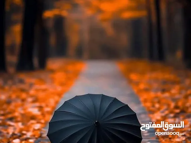 تعالو لعندي