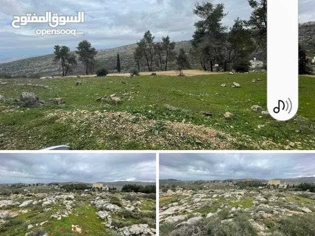 ارض للبيع في منطقه الطيره مساحه 524متر تصنيف جيم