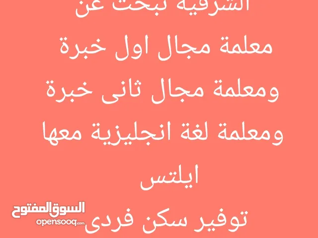 مطلوب معلمة مجال اول  ومعلمة مجال ثانى