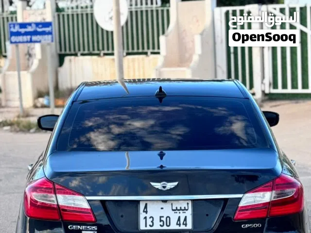 2009 Genesis Other