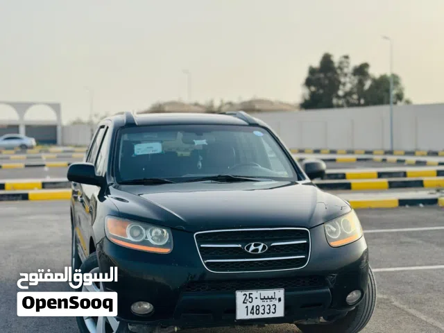 2009 هيونداي سنتافي Blue