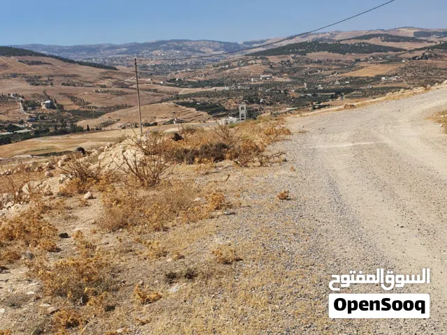 ارض زراعيه 3500 متر بقوشان مستقل جاهزه للتنازل الفوري في عنيبه شبه مستويه تربة حمراء جميع الخدمات