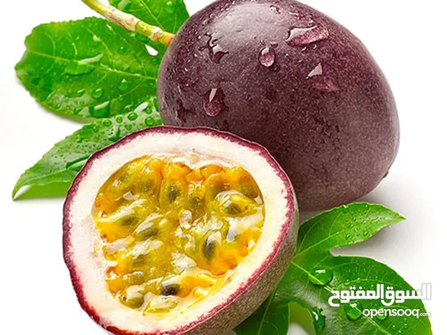 بزور مس فلورا (باشن فروت )