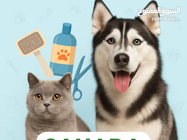 Cat Dog Grooming Saloon Ajman SAHARA EXOTICS Offer Deal
