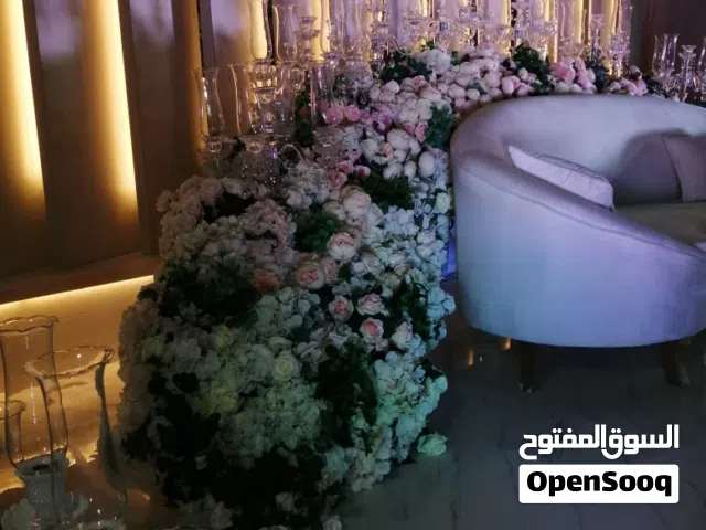 كوش جديده وخيام