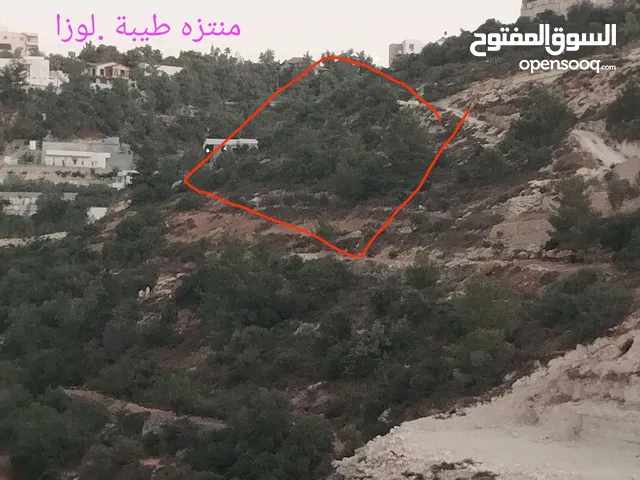 أرض مطلة وكاشفة في لوزا