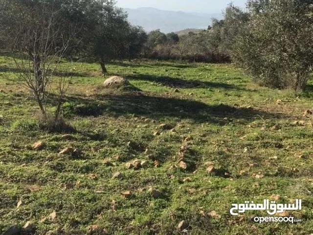 Mixed Use Land for Sale in Ajloun Other