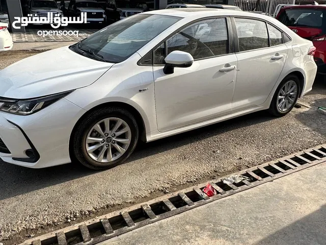 New Toyota Corolla in Baghdad