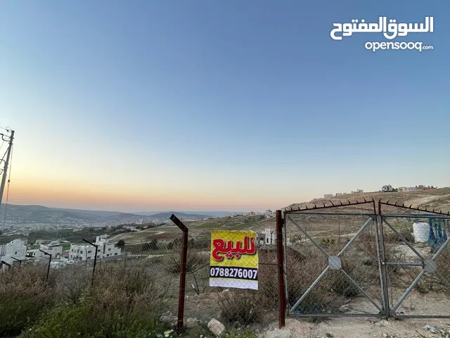 ارض للبيع صافوط