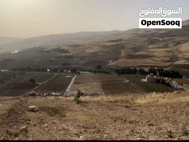 Farm Land for Sale in Zarqa Al-Alouk