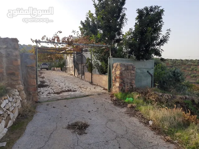 مزرعه للبيع بسعر مغري جدا