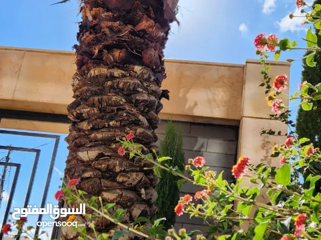 في أجمل مناطق عبدون فيلا متلاصقة خلف السفارة السعودية / ref 1923