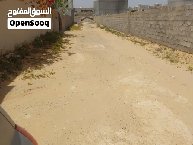 عبدالمجيد فرارة