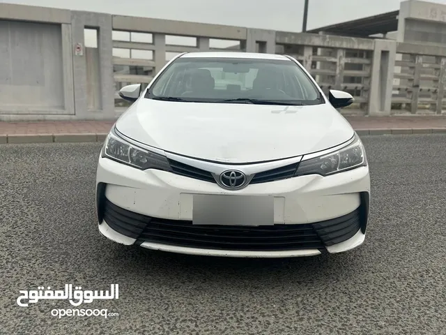 كورولا 2019