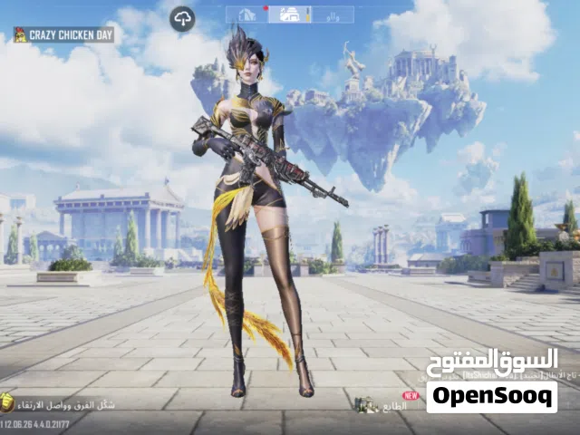 Pubg Accounts and Characters for Sale in Amman