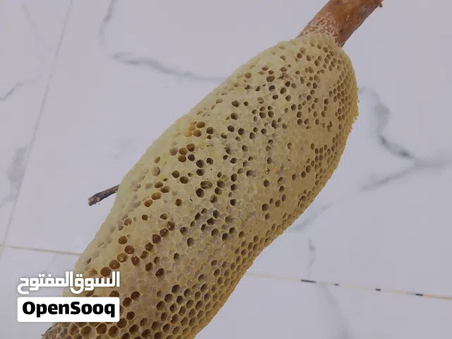 للبيع عسل  ابو طويق عماني  بشمع مع الحطب ماله