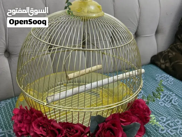 قفص زينه للطير