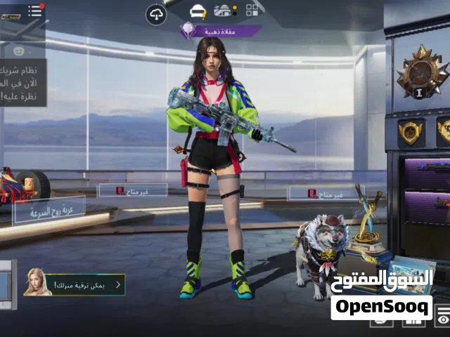 Pubg Accounts and Characters for Sale in Fayoum