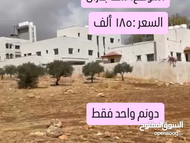 Residential Land for Sale in Amman Shafa Badran