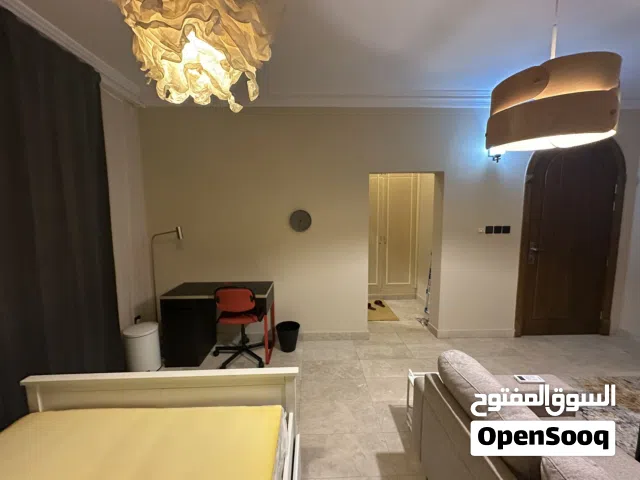 Luxury studio room with attached bathroom
