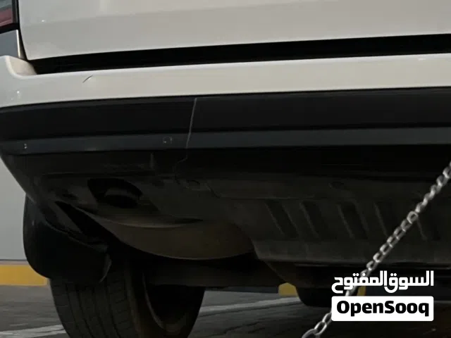 كلبة شيتزو ميني بيور