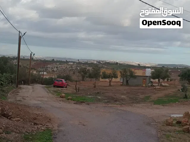 Farm Land for Sale in Irbid Sum