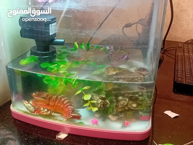 حوض سمك مع فكرونة كامل للبيع