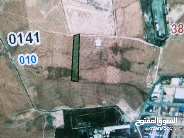 Farm Land for Sale in Amman Al-Muwaqqar