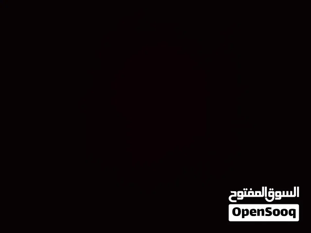 يتوفر لدينا أغنام بصحه جيده تاخذ منا وتذبح منا كبل مالات جني وسمان وما شاء الله عليهن الي يريد منهن
