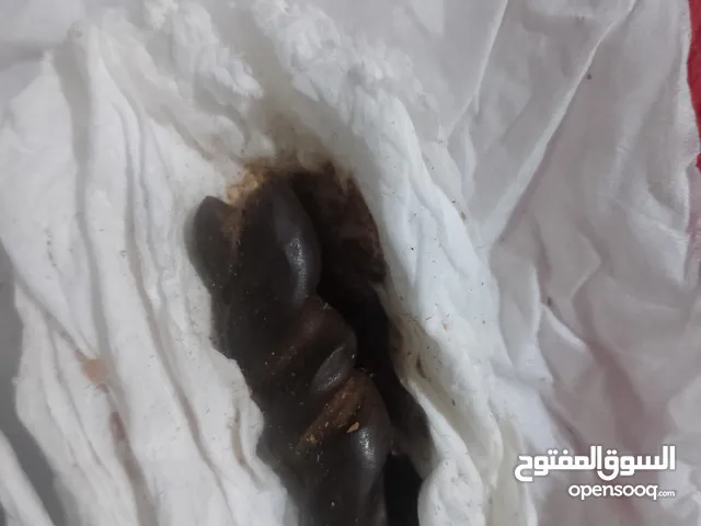 حجر قوي بس اهل الخبره يعرفونه