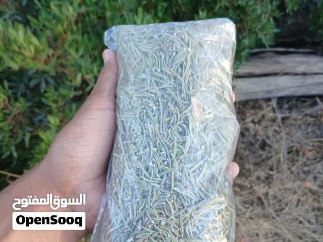 اكليل الجبل الوزن 100 جرام البيع جمله