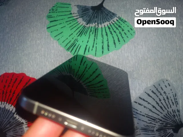 Apple iPhone 15 Pro Max 256 GB in Baghdad