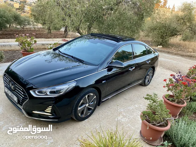 Used Hyundai Sonata in Irbid
