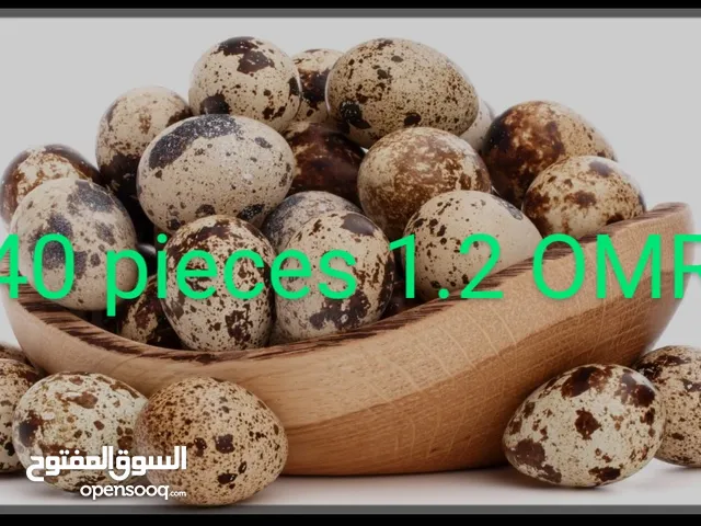 Quail eggs 40 pieces 1.2 OMR