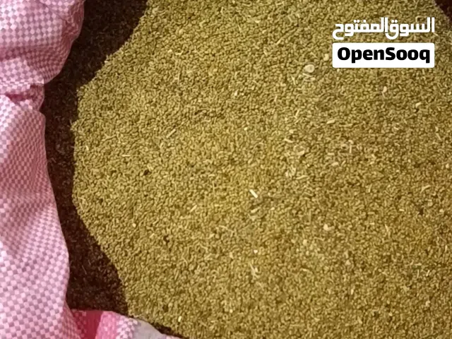 بذر قت عماني نظيف