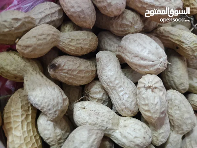 فول سوداني للبيع