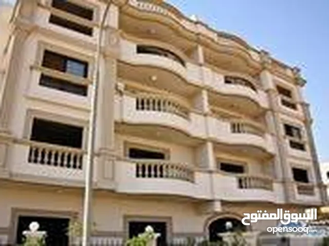 55 m2 1 Bedroom Apartments for Rent in Baghdad Ghadeer