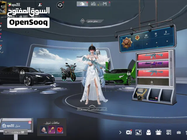Pubg Accounts and Characters for Sale in Al Batinah