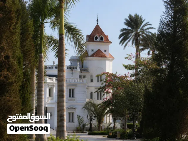 قصر للبيع في المنصورية بمساحة كبيرة وتفاصيل مذهلة