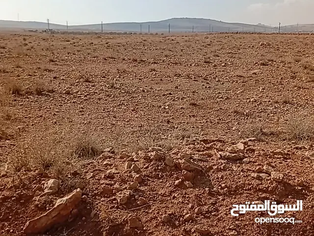 ارض زراعيةخصبة ريانة لعدةاستثمارات عالاسفلت