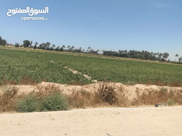 مزرعه للبيع على طريق صحراوي مصر اسكندريه يوجد فيها جميع الكماليات وجه على الطريق 900 متر صحراوي مصر