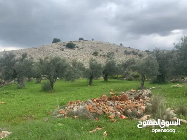 Residential Land for Sale in Ramallah and Al-Bireh Bil'in