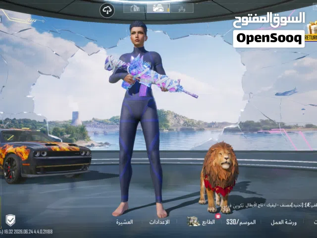 Pubg Accounts and Characters for Sale in Basra